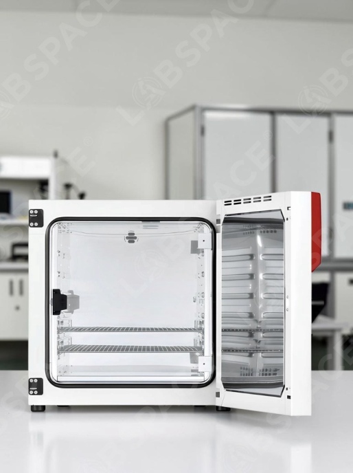 Стандартный инкубатор с естественной конвекцией BINDER BD 56
