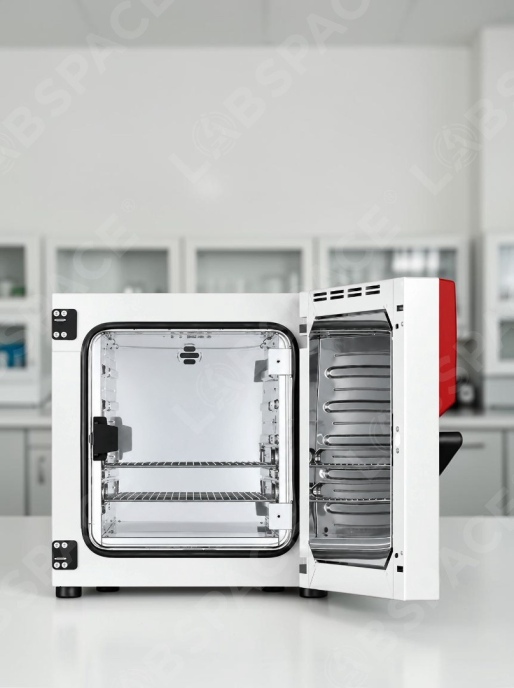 Стандартный инкубатор с естественной конвекцией BINDER BD 115