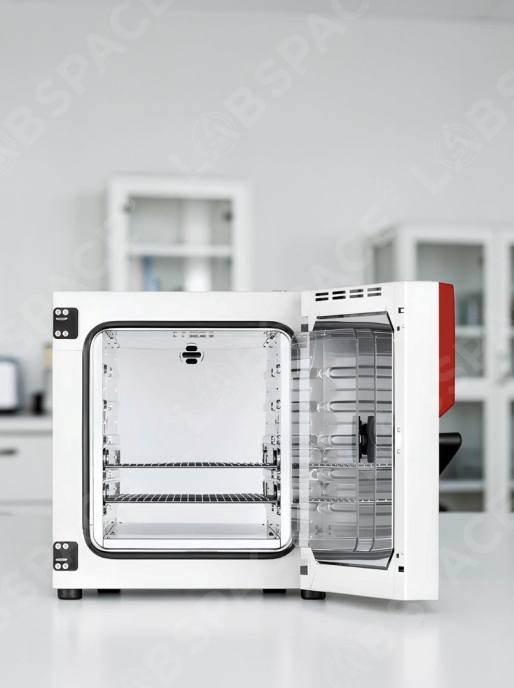 Стандартный инкубатор с естественной конвекцией BINDER BD 115