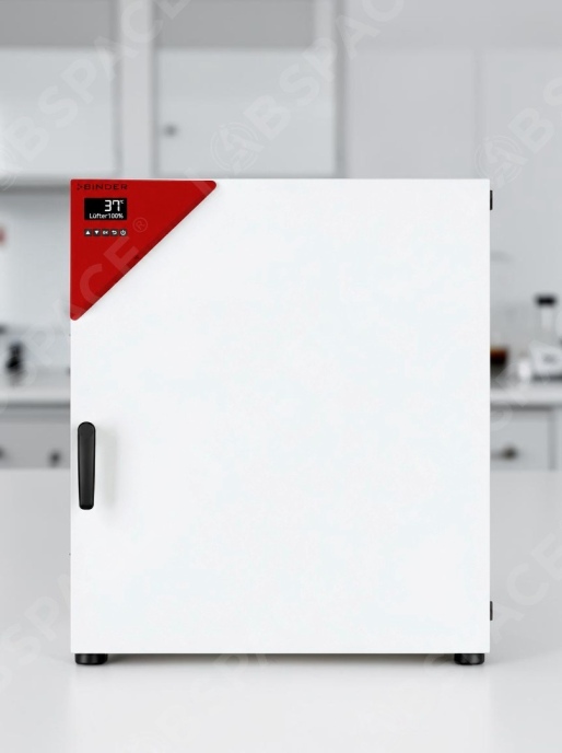 Стандартный инкубатор с естественной конвекцией BINDER BD 115