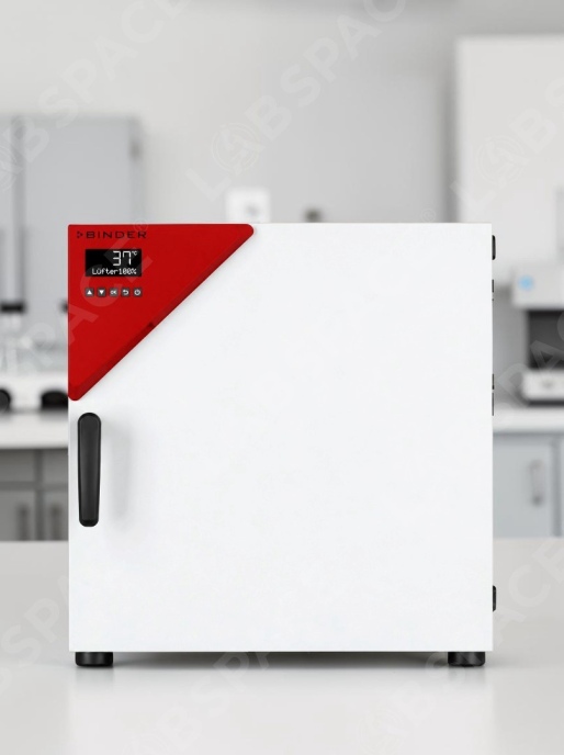 Стандартный инкубатор с принудительной конвекцией BINDER BF 56