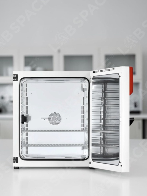 Стандартный инкубатор с принудительной конвекцией BINDER BF 260