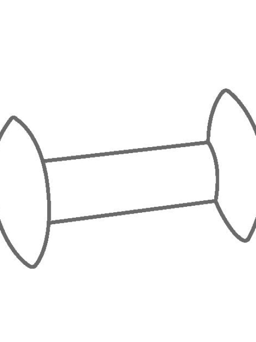 Магнитный мешальник IKA IKAFLON 54 bone (5 шт.)