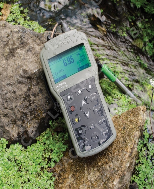 рН/иономер HANNA Instruments HI98191