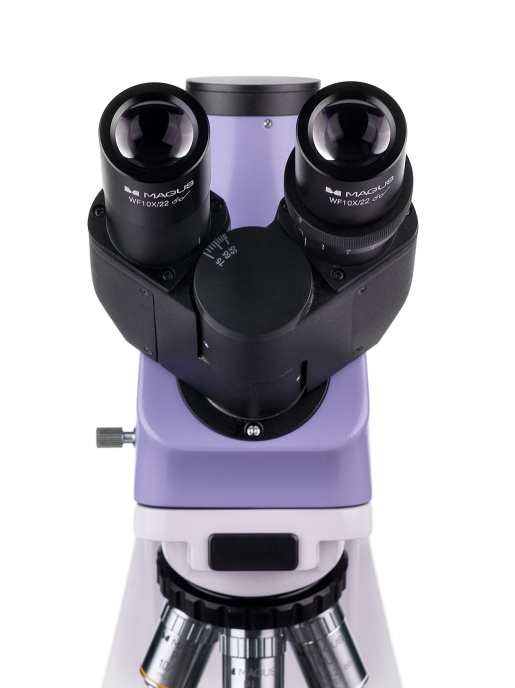 Световой микроскоп MAGUS Bio 250T