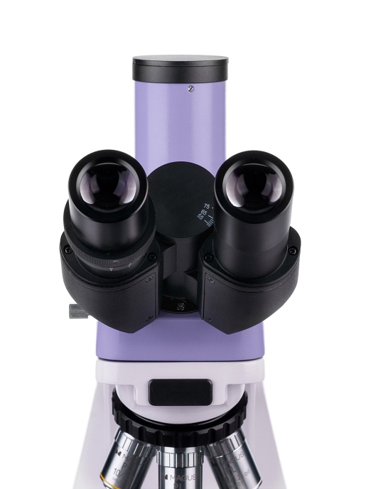 Световой микроскоп MAGUS Bio 250T