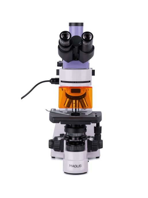 Люминесцентный микроскоп MAGUS Lum 400