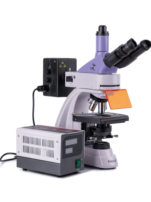 Люминесцентный микроскоп MAGUS Lum 400