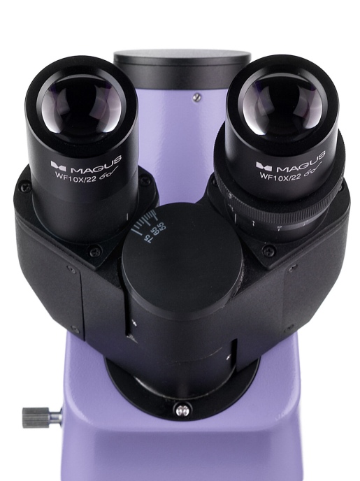 Люминесцентный микроскоп MAGUS Lum 400L