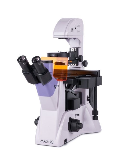 Люминесцентный микроскоп MAGUS Lum V500