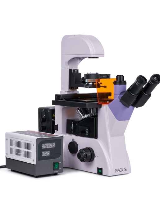 Люминесцентный микроскоп MAGUS Lum V500