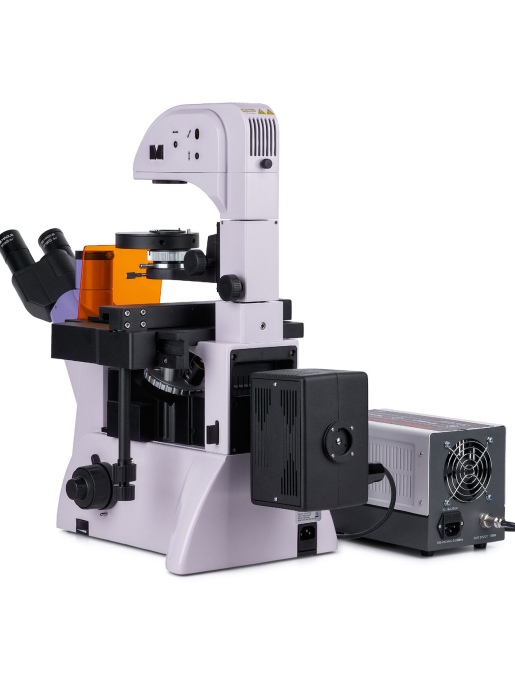 Люминесцентный микроскоп MAGUS Lum V500