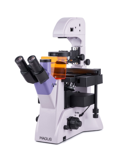 Люминесцентный микроскоп MAGUS Lum V500L