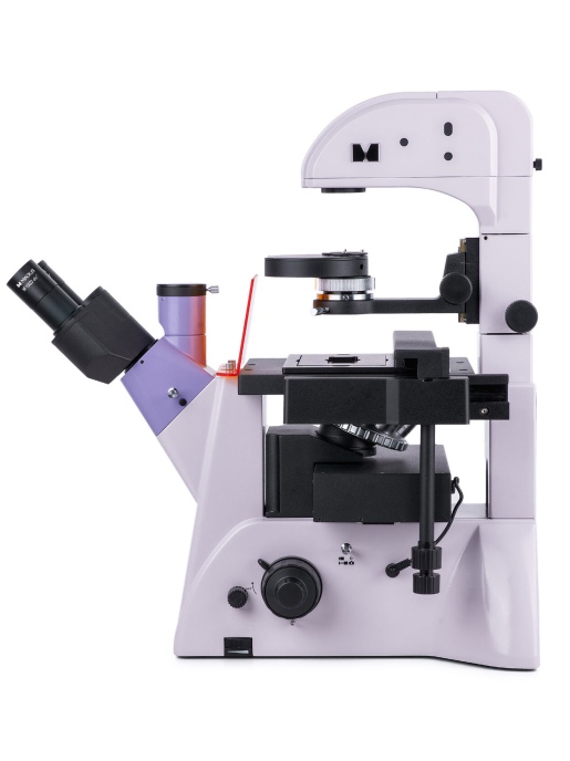 Люминесцентный микроскоп MAGUS Lum V500L