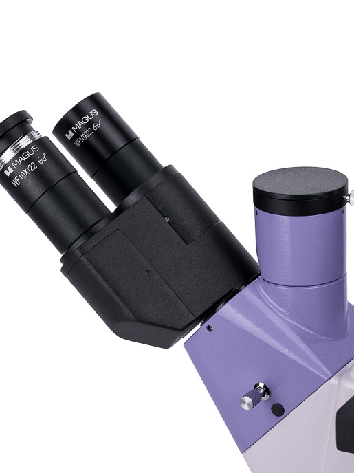 Световой микроскоп MAGUS Bio V350