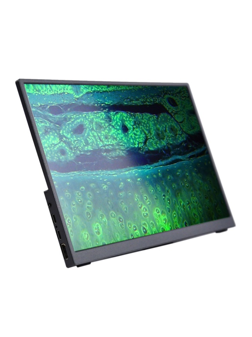 Монитор MAGUS MCD20