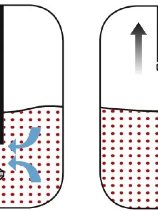 МикроСамплер (MicroSampler)