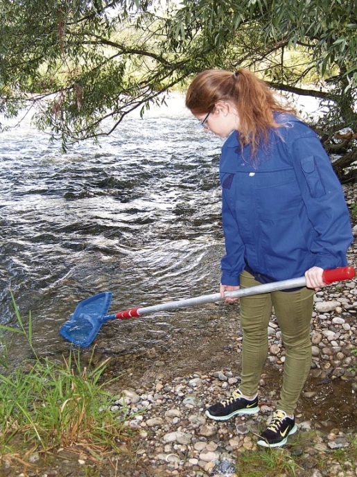 Сеть для сбора с поверхности