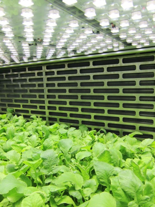 Светодиодные фитопанели PSI