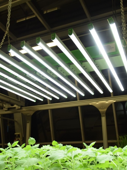 Системы светодиодных полос PSI