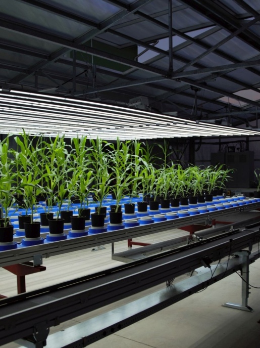 Системы светодиодных полос PSI