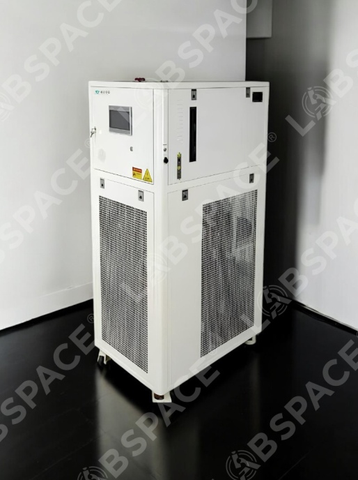 Процесс-термостат SCIENTZ HL55W-1010