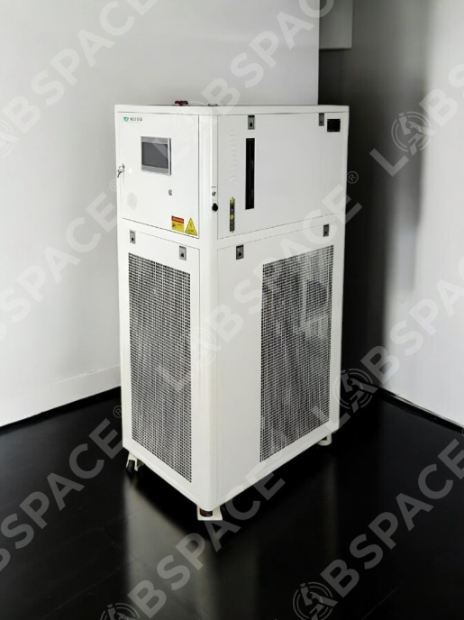 Процесс-термостат SCIENTZ HL55W-1010