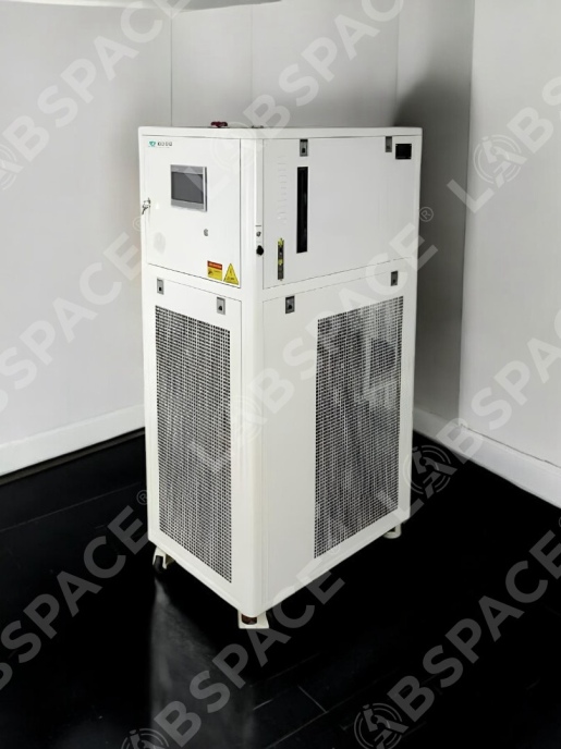 Процесс-термостат SCIENTZ HL250W-1010