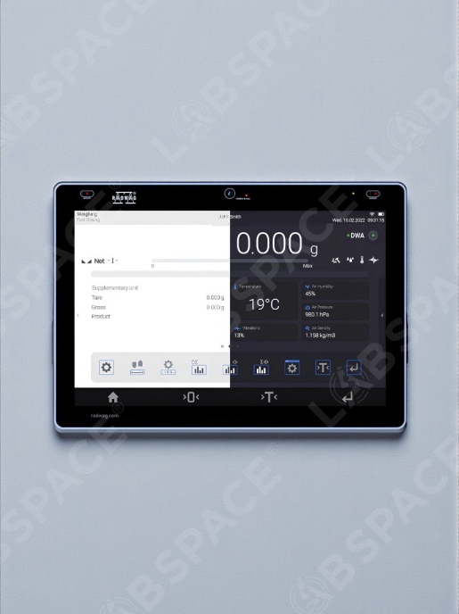 Аналитические весы RADWAG PS 200/2000.5Y Precision Balance