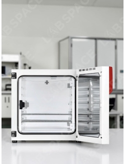 Стандартный инкубатор с естественной конвекцией BINDER BD 56