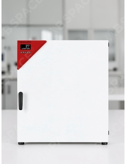 Стандартный инкубатор с естественной конвекцией BINDER BD 260