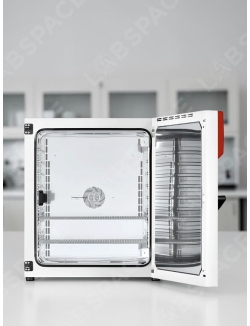 Стандартный инкубатор с естественной конвекцией BINDER BD 260