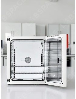 Стандартный инкубатор с принудительной конвекцией BINDER BF 260