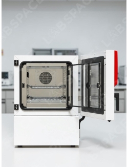 Охлаждающий инкубатор с большим диапазоном температур BINDER KB 65