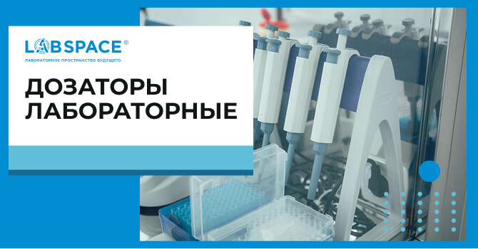 видео обзор 