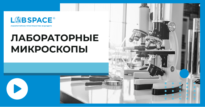 видео обзор о микроскопах